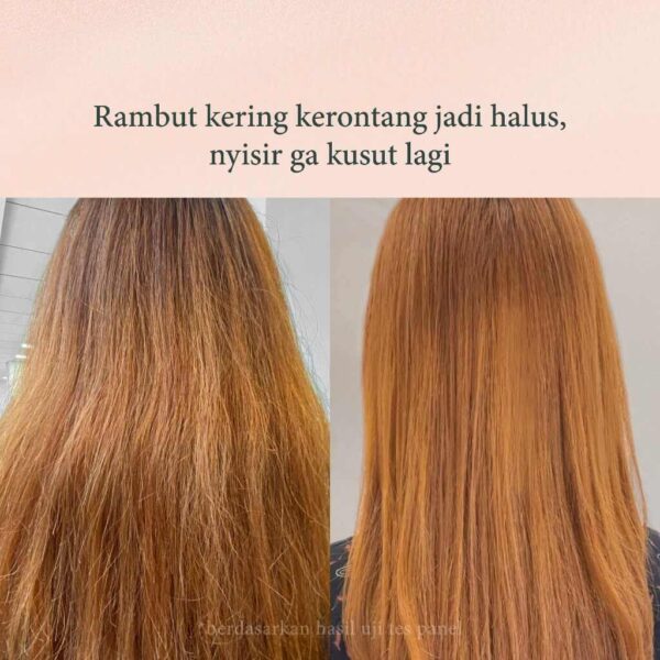 SHRD Rambut Kusut