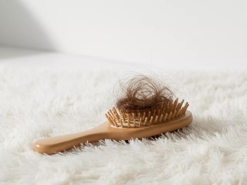 rambut rontok menggumpal di sisir (Image Concept by Homey Button) rambut rontok menggumpal di sisir (Image Concept by Homey Button)